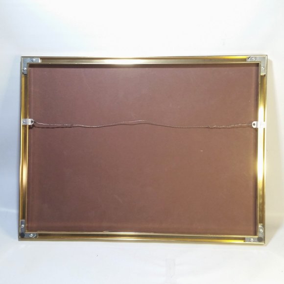 Galapagos Confrontation Framed Photo Numbered, Vintage Professional Photography - Picture 6 of 6